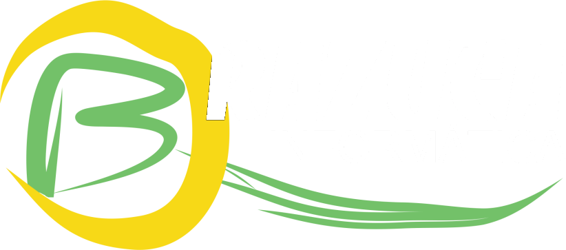 Brazuca Informática